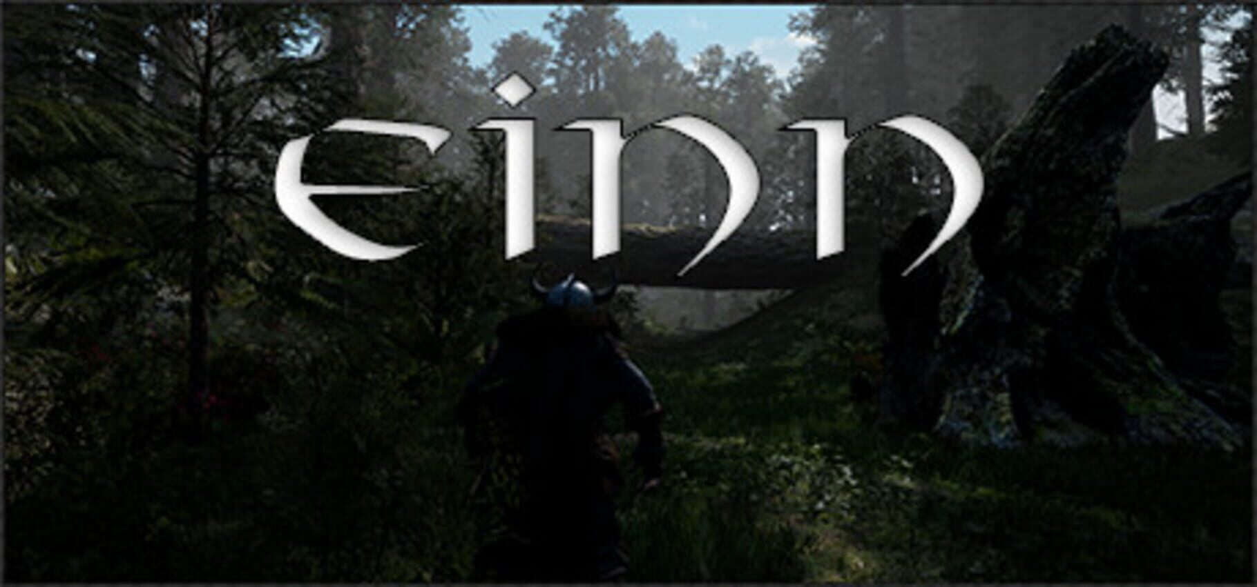 Einn Cover