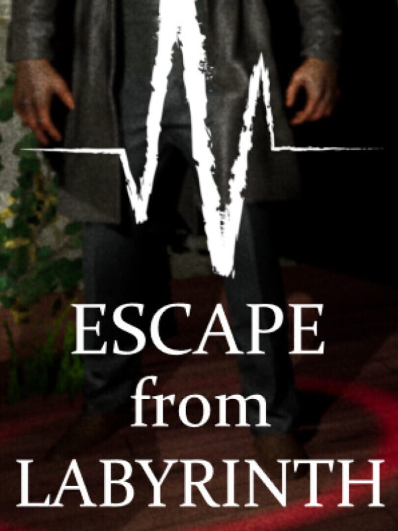 Couverture de Escape from Labyrinth