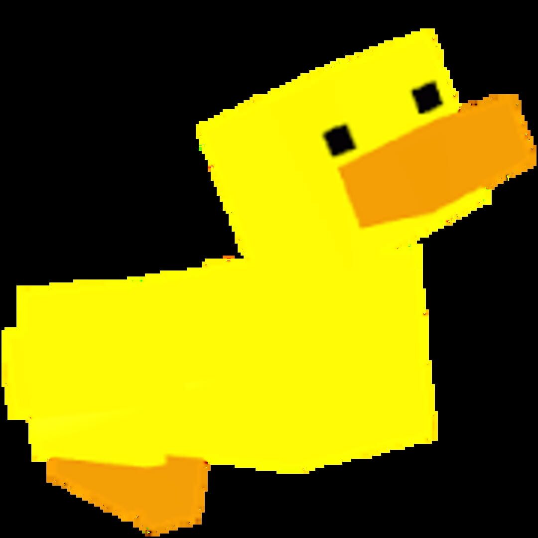 Capa de Feed Some Ducks