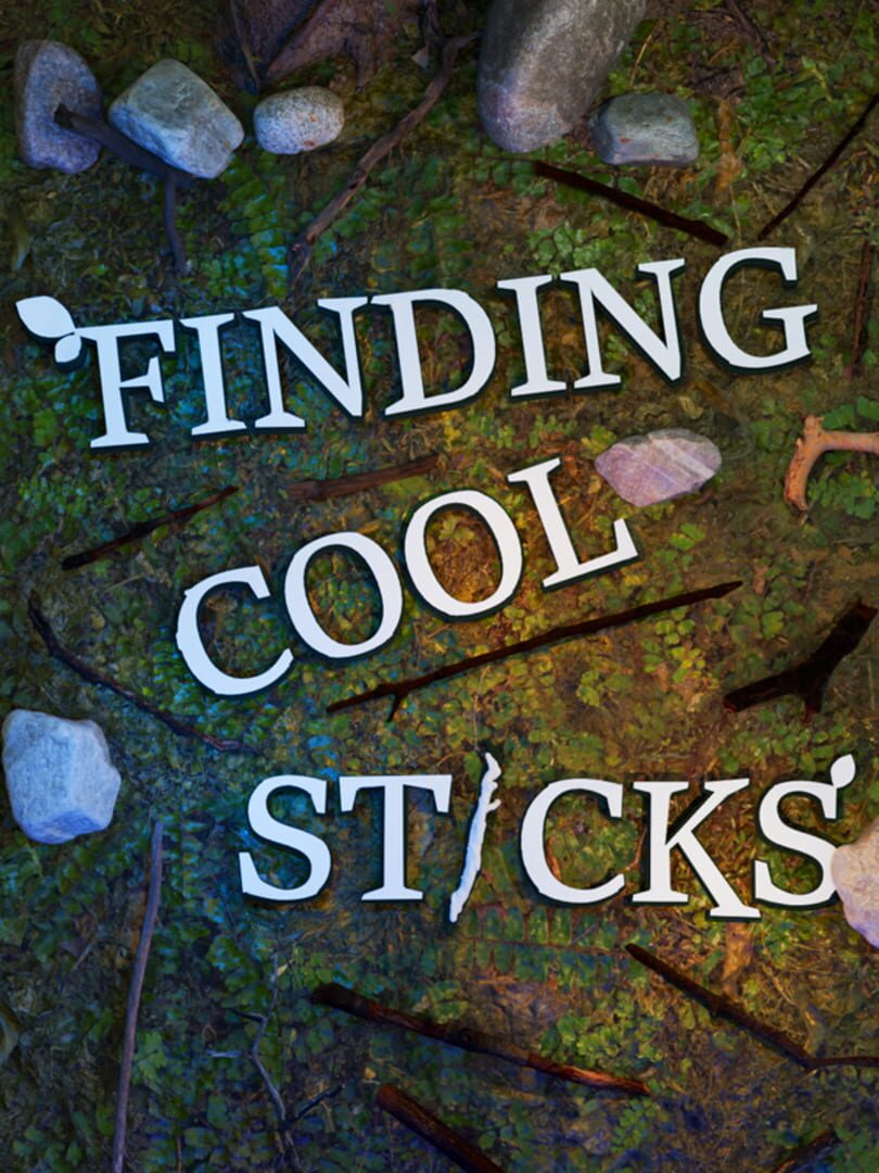 Capa de Finding Cool Sticks