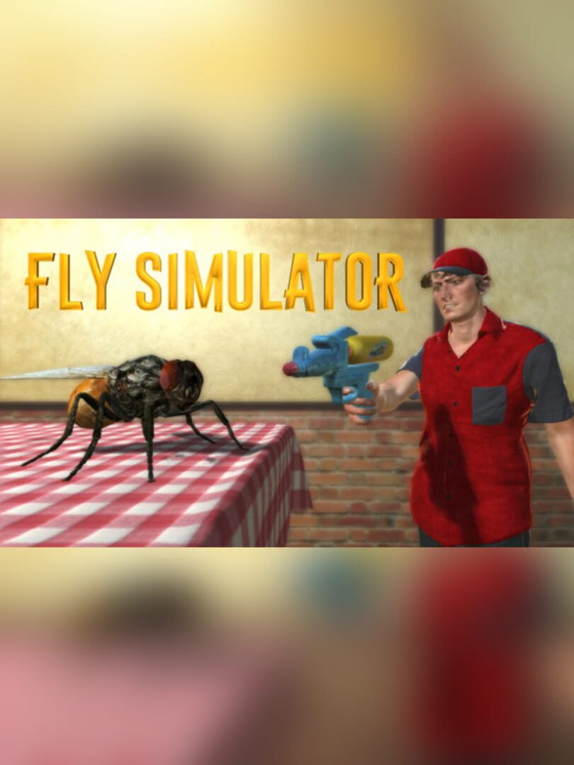 Fly Simulator Cover