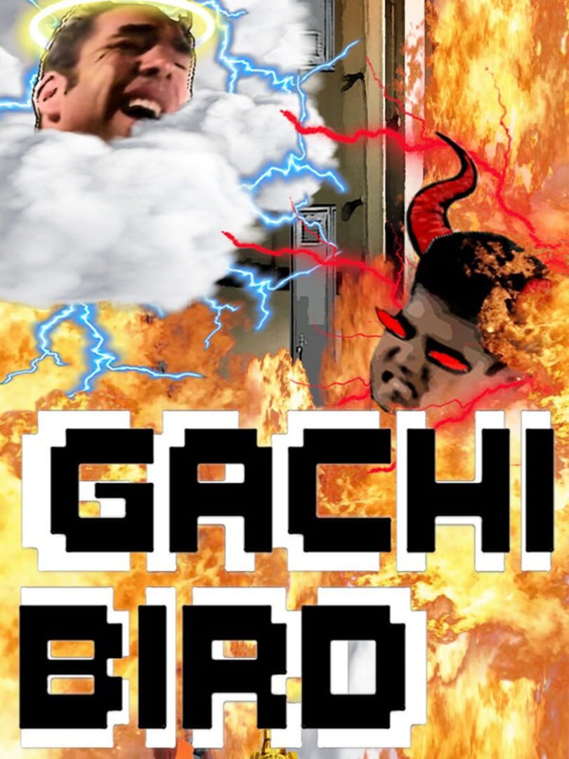 Copertina di Gachi Bird
