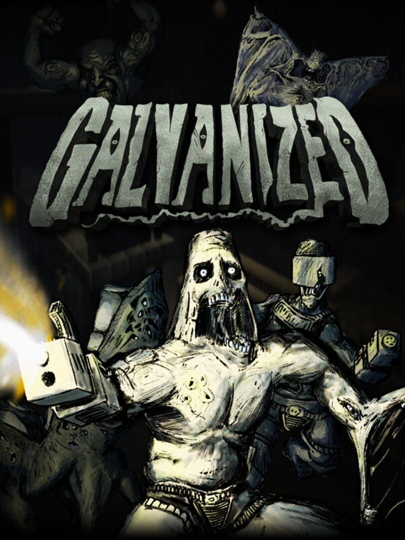 Galvanized Cover
