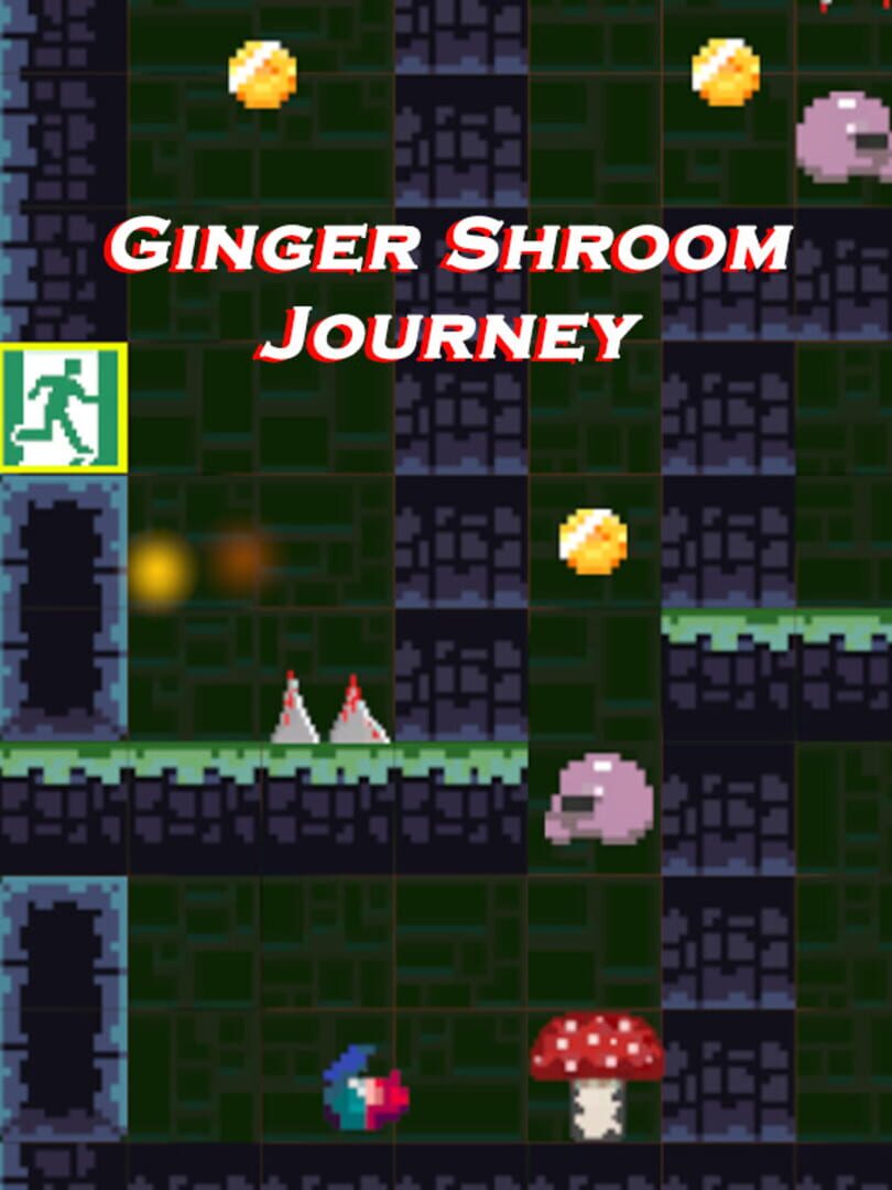 Couverture de Ginger Shroom Journey