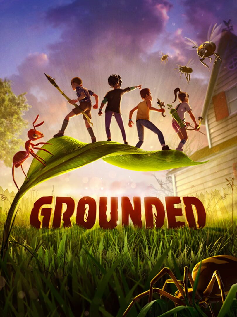 Grounded Cover
