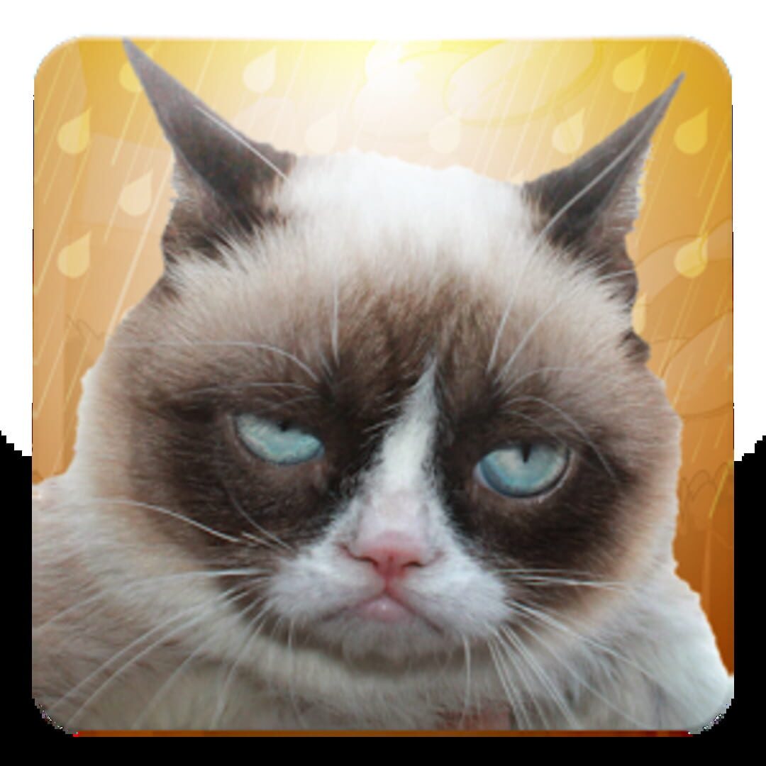 Grumpy Cat: Unimpressed Cover