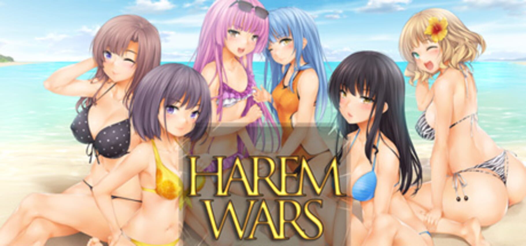 Couverture de Harem Wars