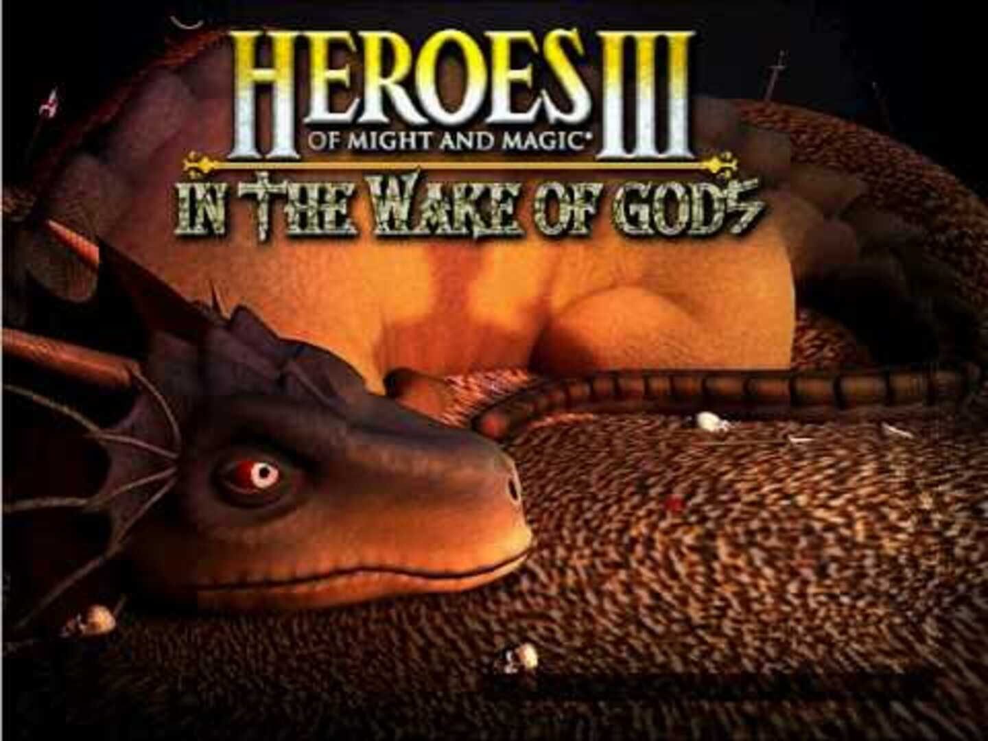 Heroes of Might and Magic 3.5: In the Wake of Gods 커버