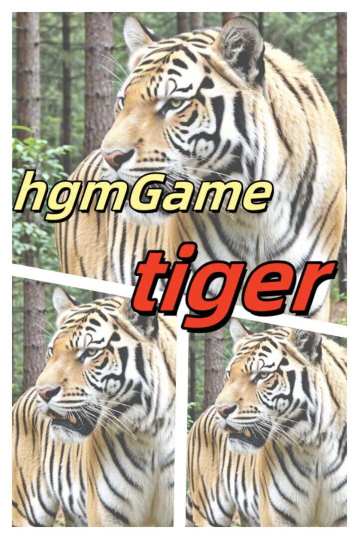 HgmGame-Tiger Kapağı