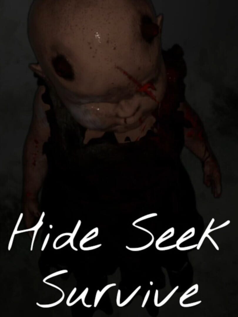 Hide Seek Survive 커버