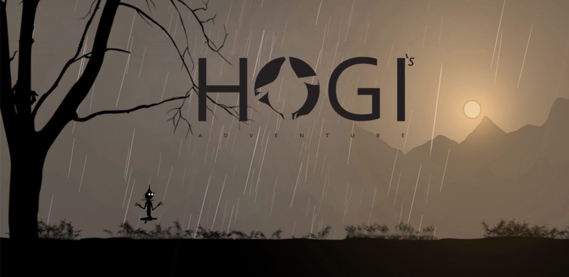 Copertina di Hogi's Adventure Run