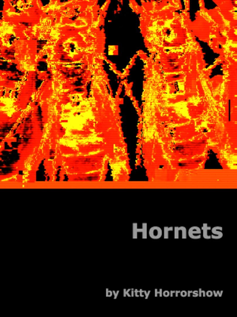 Hornets Cover