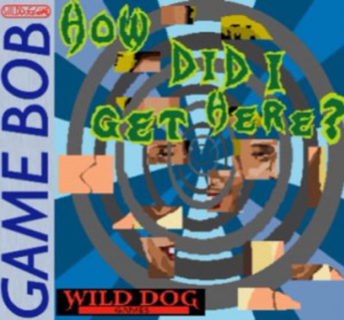 Capa de How did I get here?