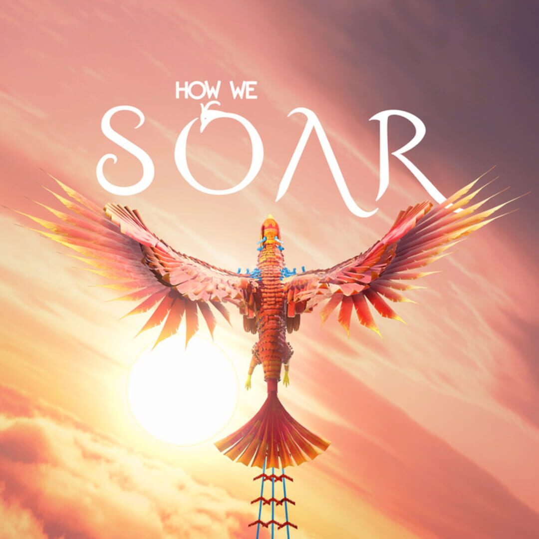 Couverture de How We Soar