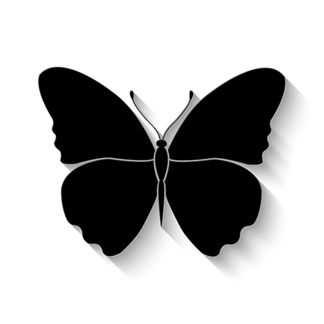 Capa de I Am Innocent