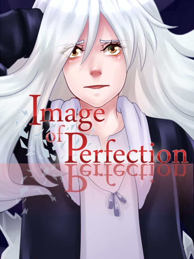 Image of Perfection Cover