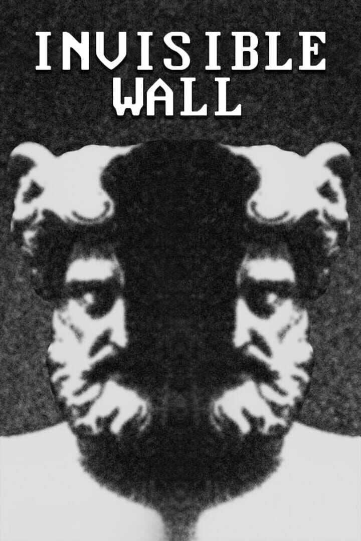 Portada de Invisible Wall