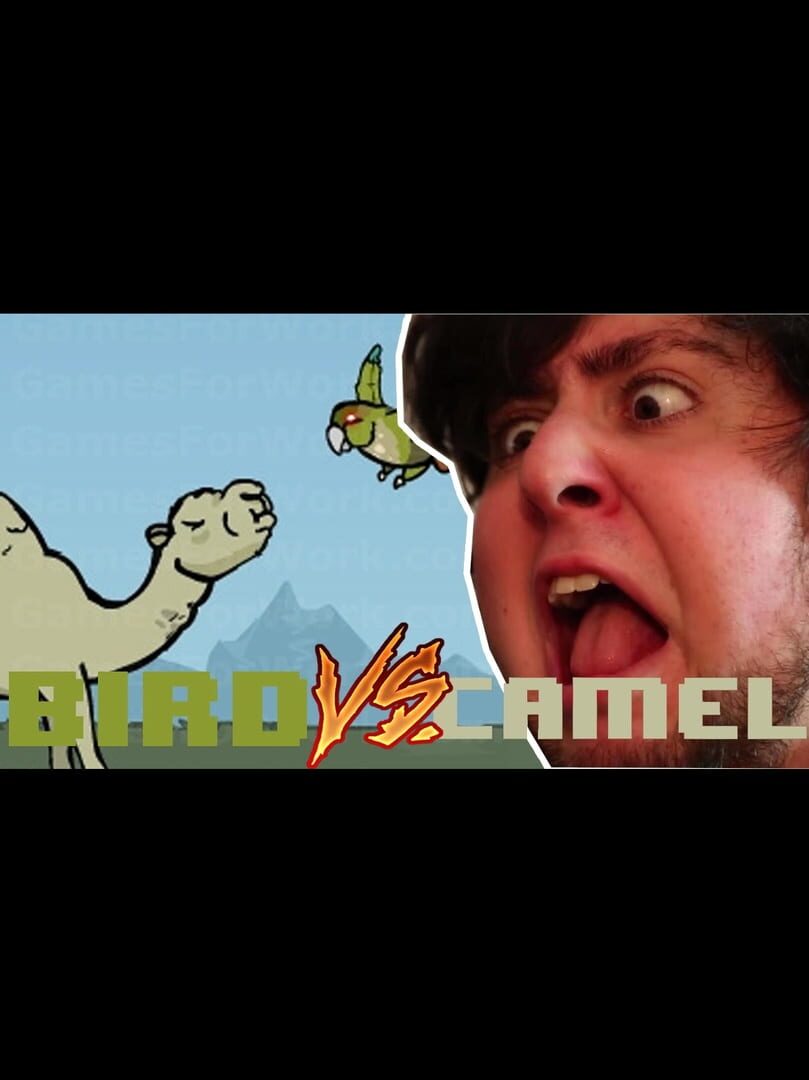 Capa de JonTron: Bird vs. Camel