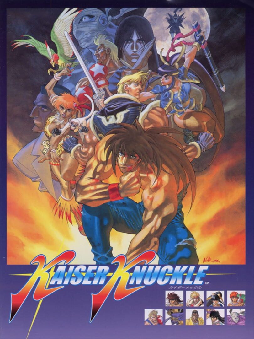 Kaiser Knuckle Cover