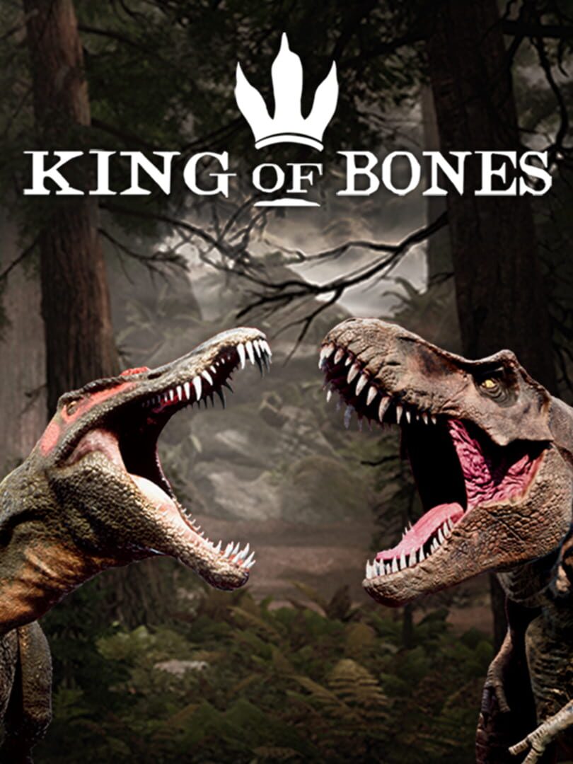 Couverture de King of Bones