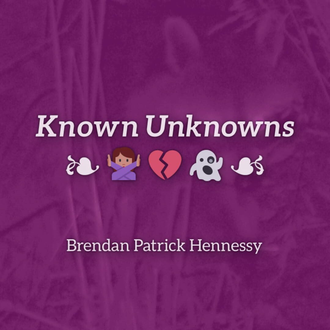 Couverture de Known Unknowns
