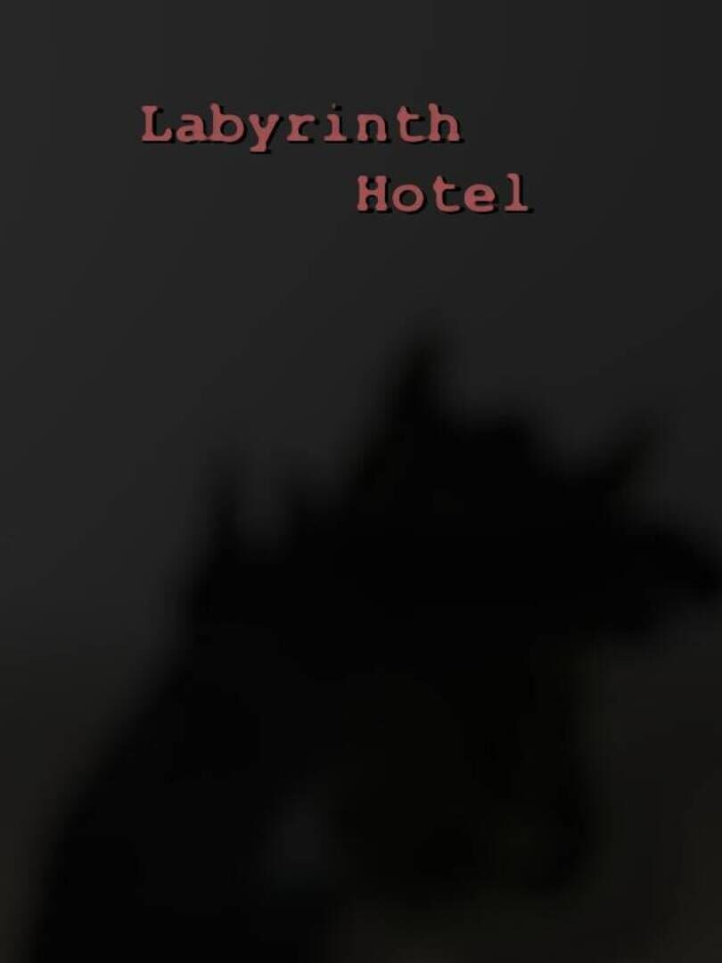 Couverture de Labyrinth Hotel