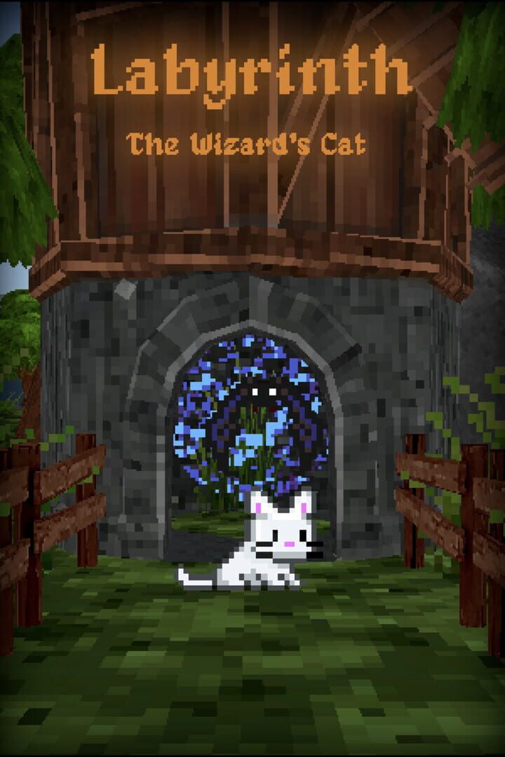 Labyrinth: The Wizard's Cat Kapağı