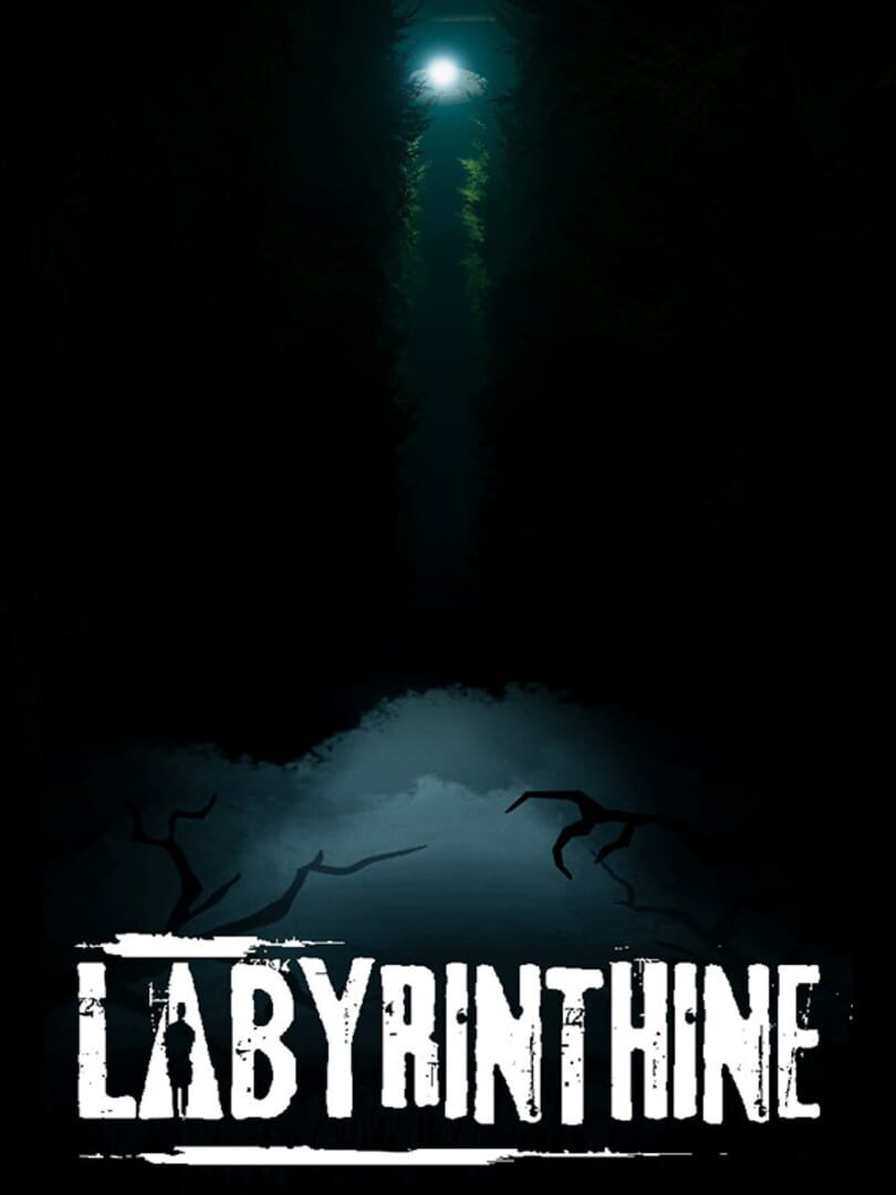 Labyrinthine Cover