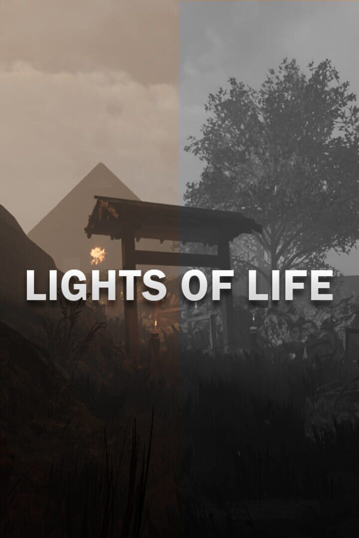 Copertina di Lights of Life