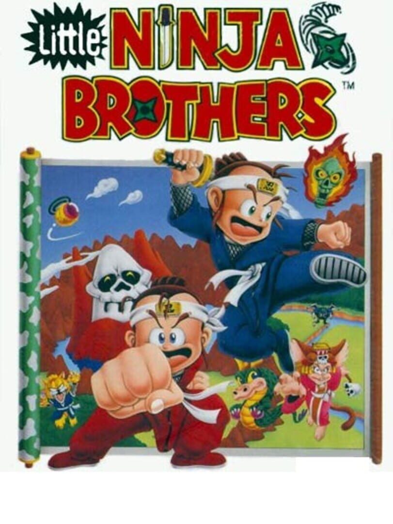 Little Ninja Brothers Kapağı