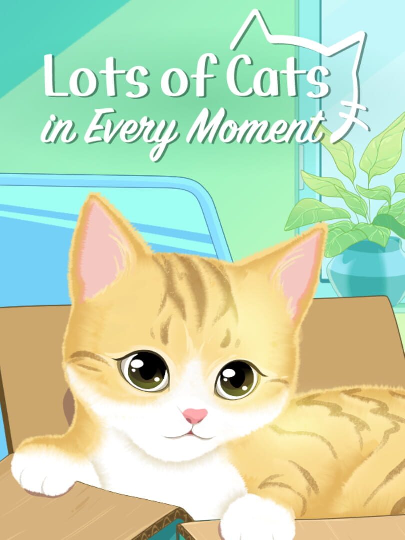 Lots of Cats in Every Moment 커버
