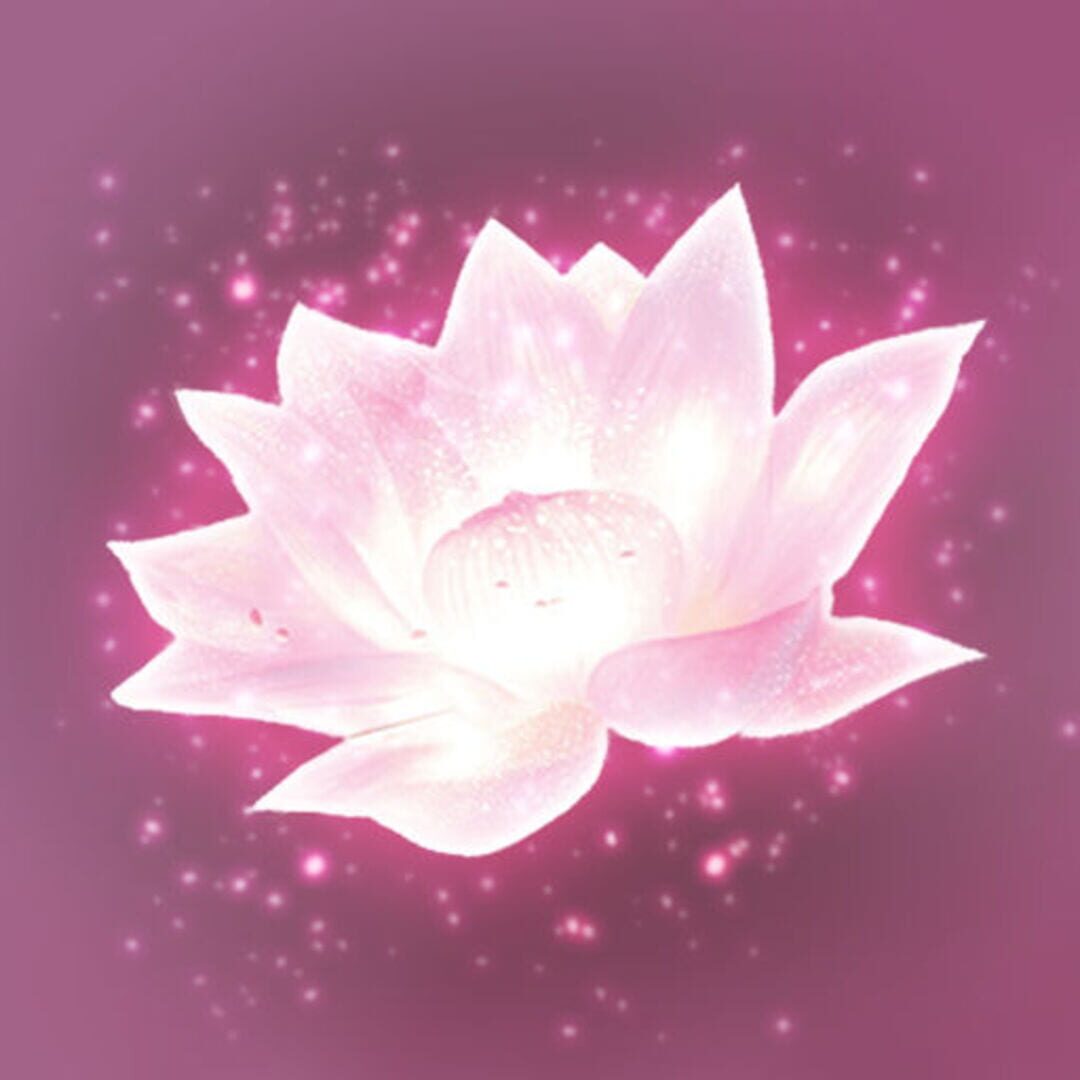 Couverture de Lotus Digital