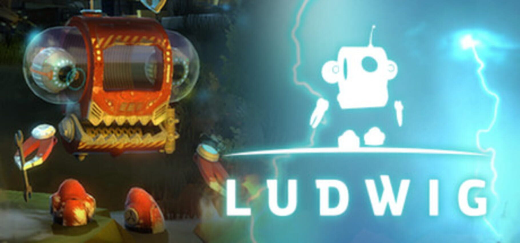 Capa de Ludwig