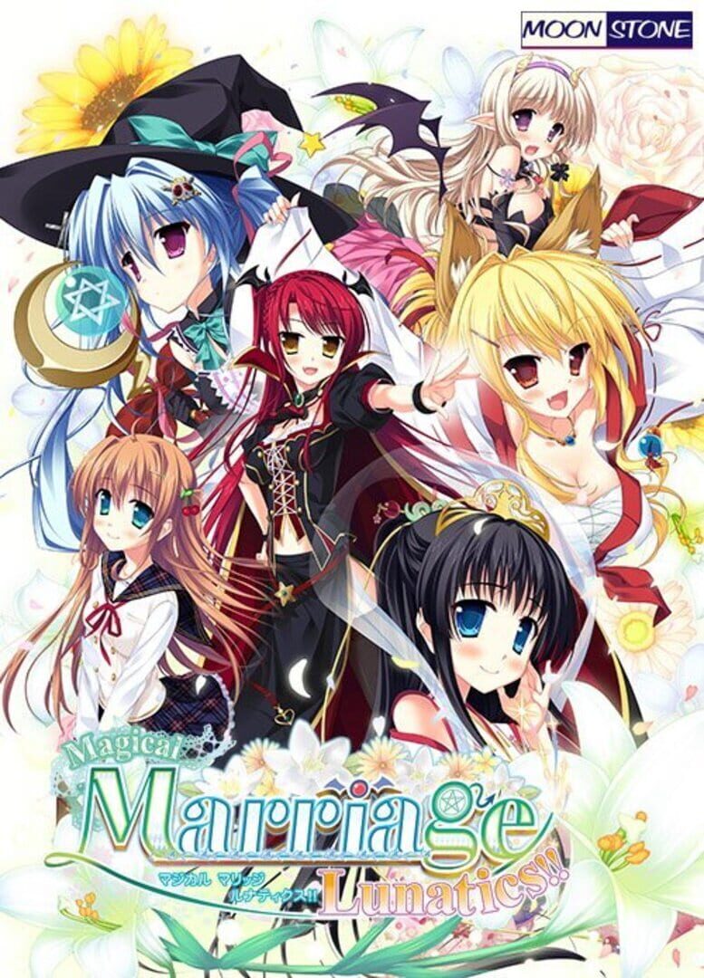 Magical Marriage Lunatics!! 커버