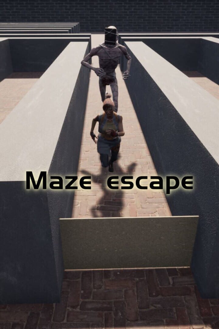 Copertina di Maze Escape