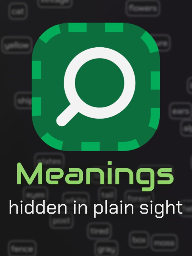 Copertina di Meanings: Hidden in Plain Sight
