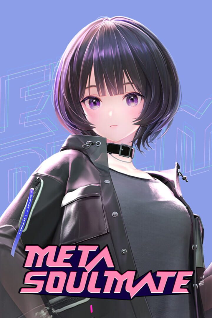 Meta Soulmate Cover