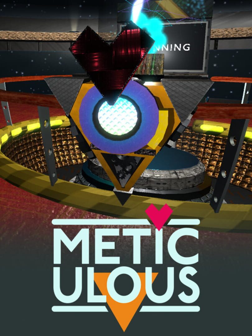 Meticulous Kapağı
