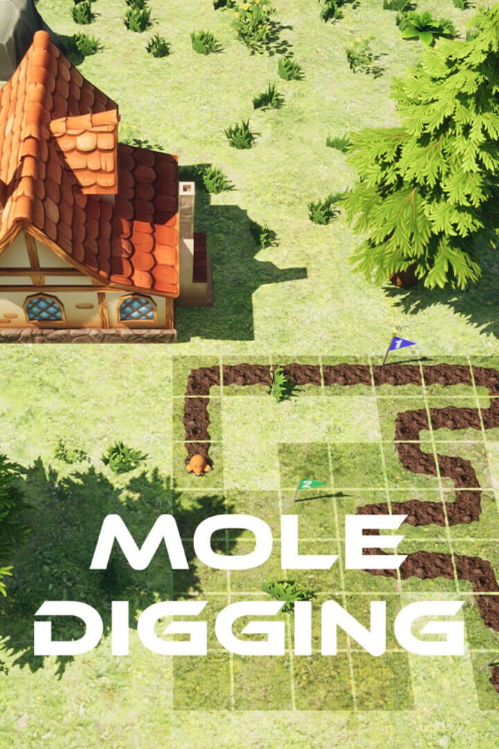 Copertina di Mole Digging