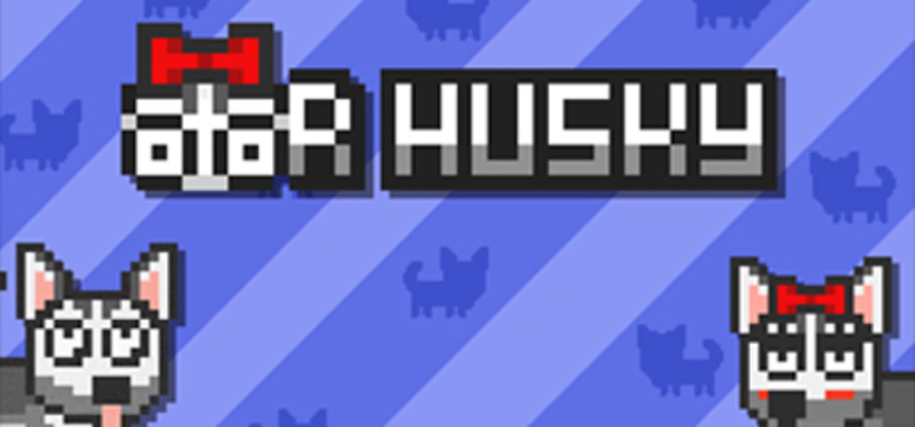 Mr Husky Cover