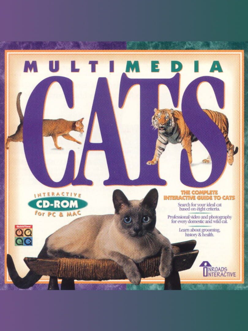 Multimedia Cats Cover