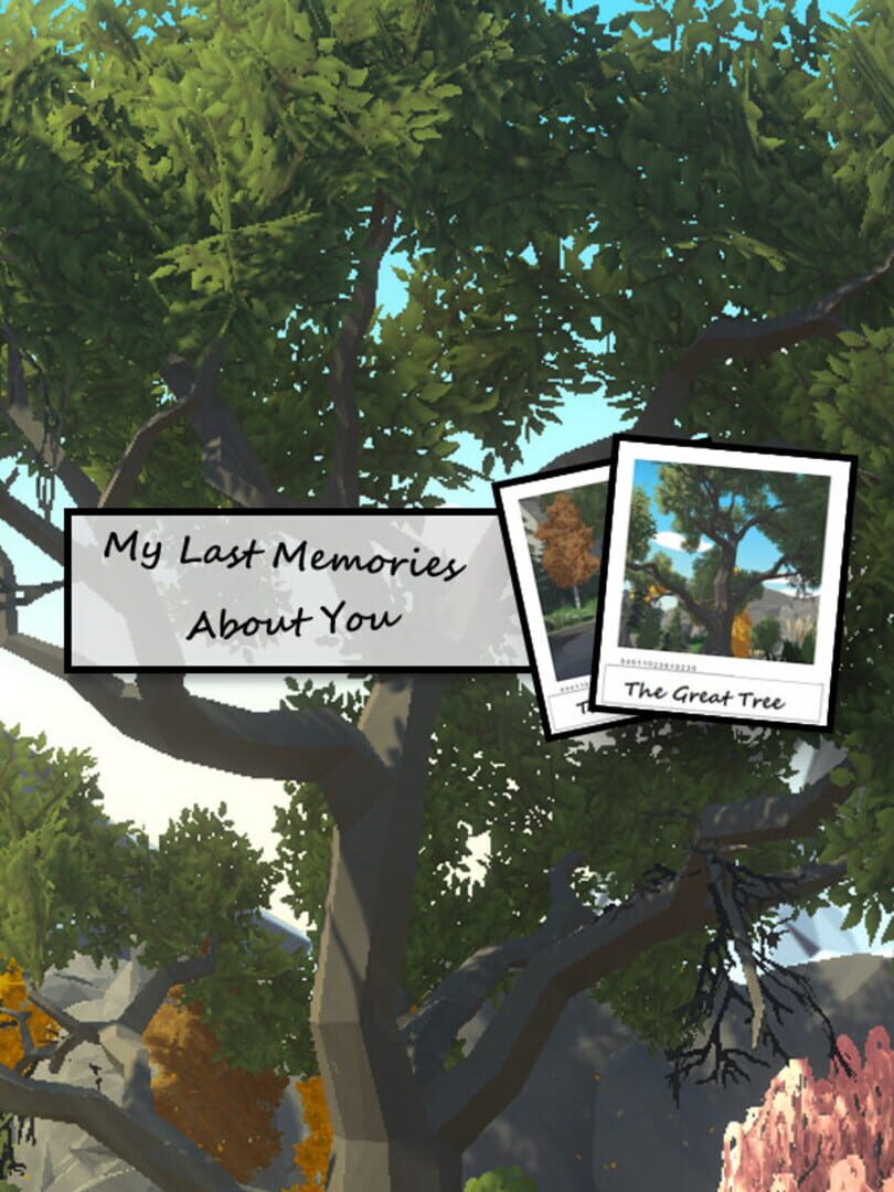Couverture de My Last Memories About You