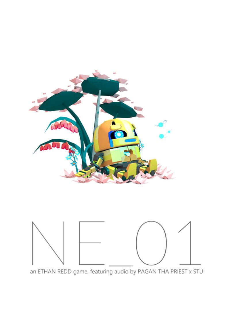 Capa de NE_01