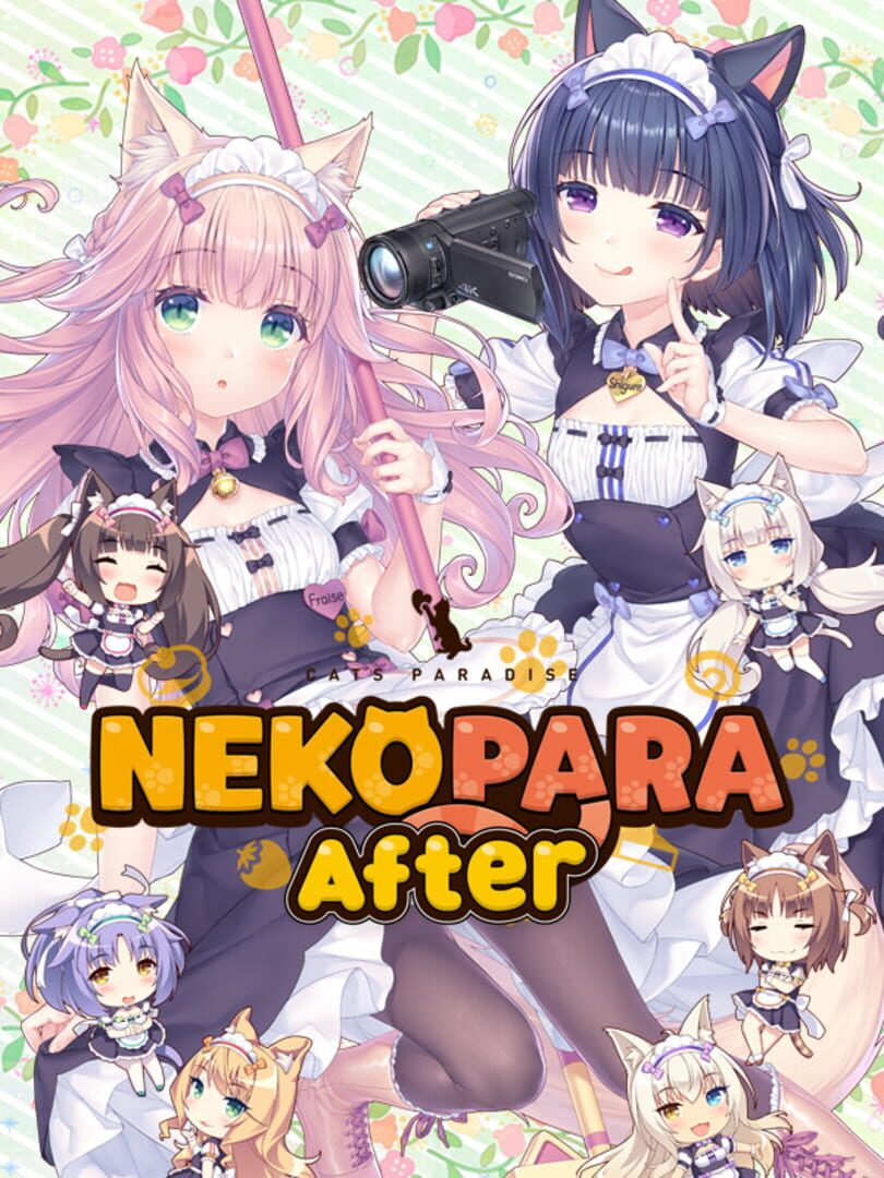 Nekopara After 커버