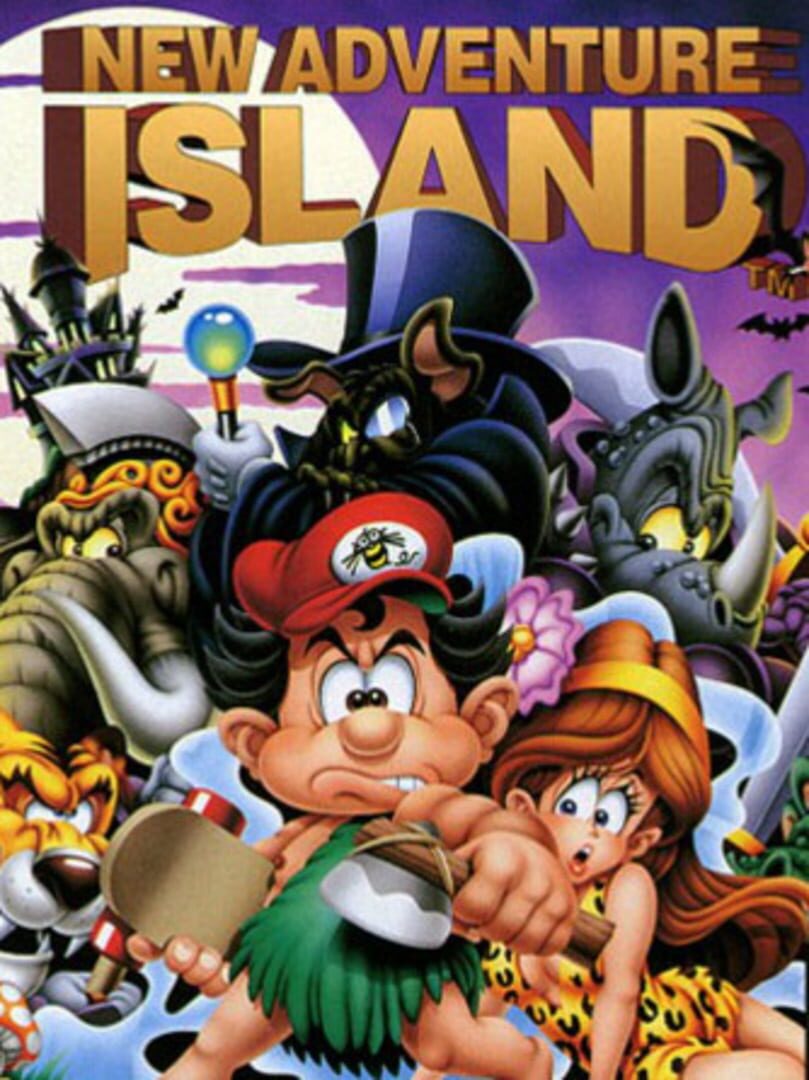 Couverture de New Adventure Island