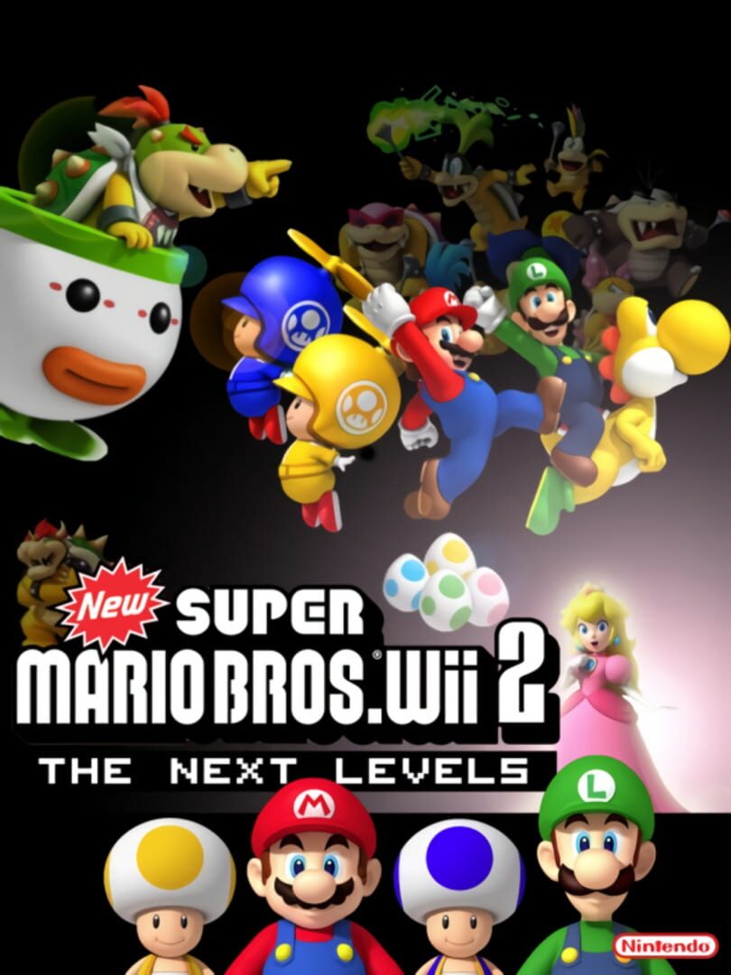 New Super Mario Bros. Wii 2: The Next Levels カバー