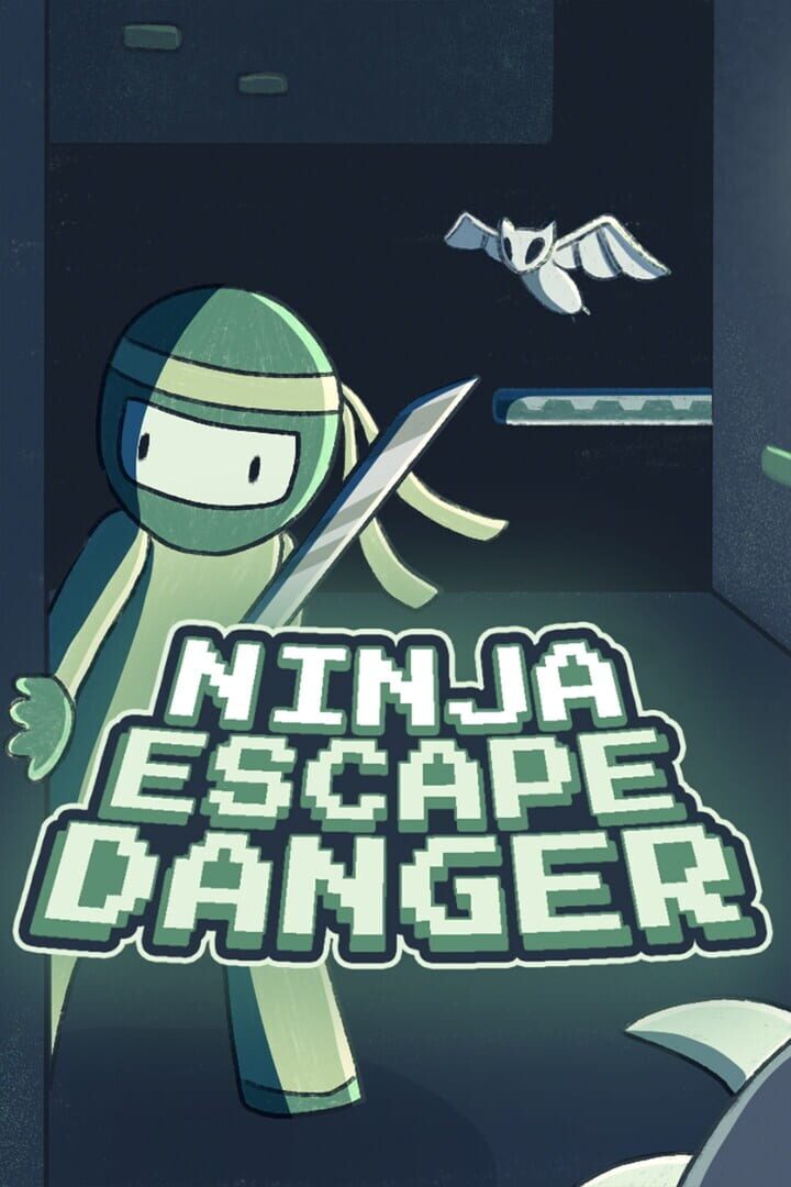 Ninja Escape Danger Kapağı