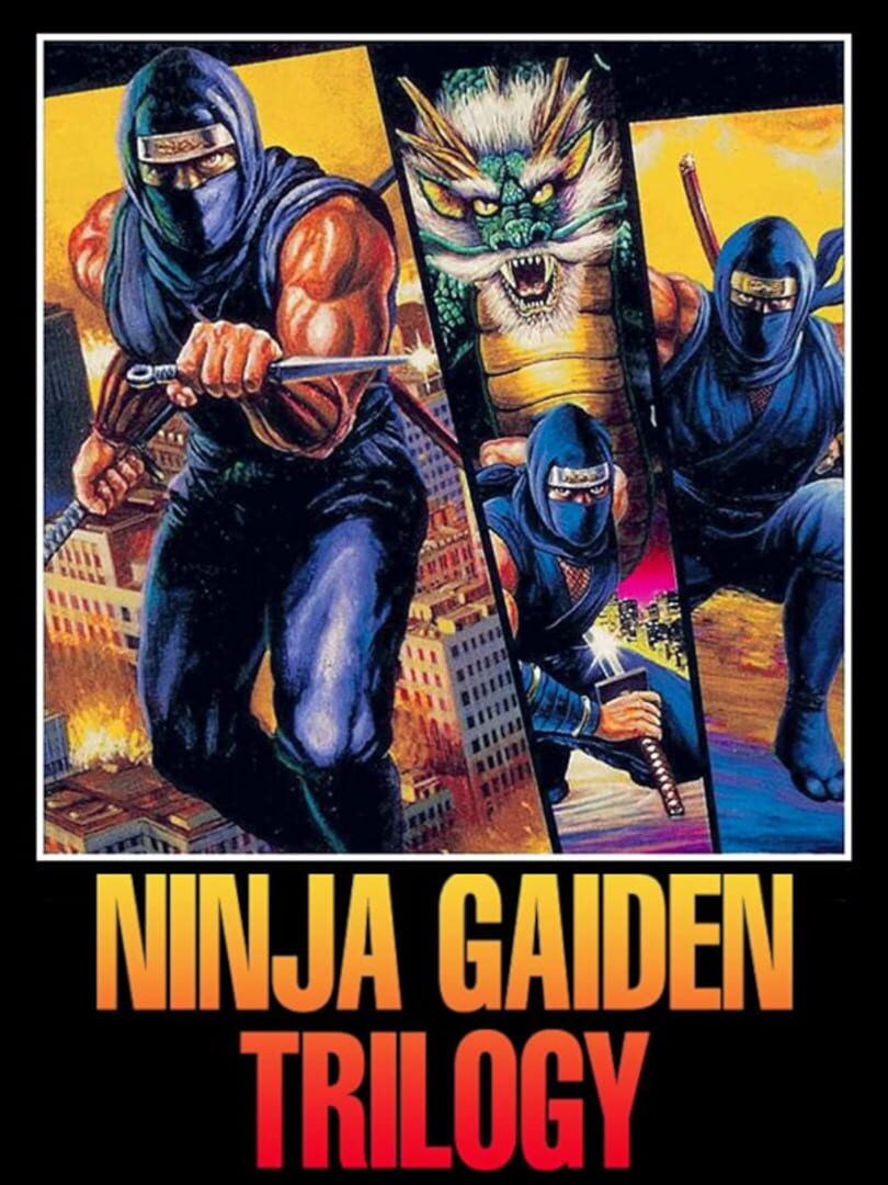 Ninja Gaiden Trilogy Kapağı
