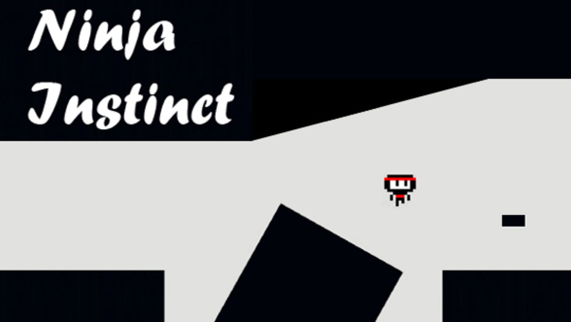 Ninja Instinct カバー