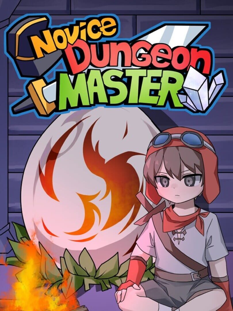 Couverture de Novice Dungeon Master